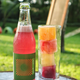 Illustration for article titled Some Cocktails That You Must Enjoy on Summer Vacation